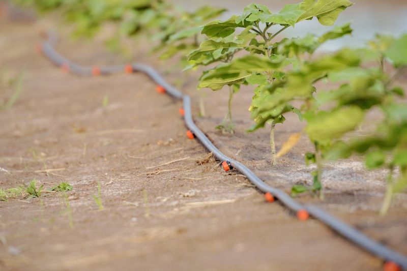 Underground Irrigation Service in Aiken, SC