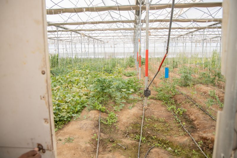 Commercial Irrigation Service in Aiken, SC