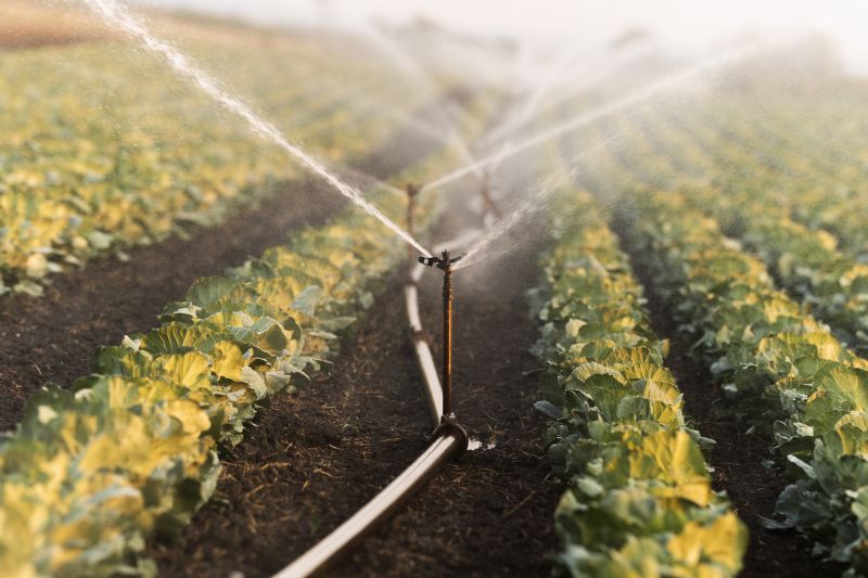 Irrigation Service in Honolulu, HI