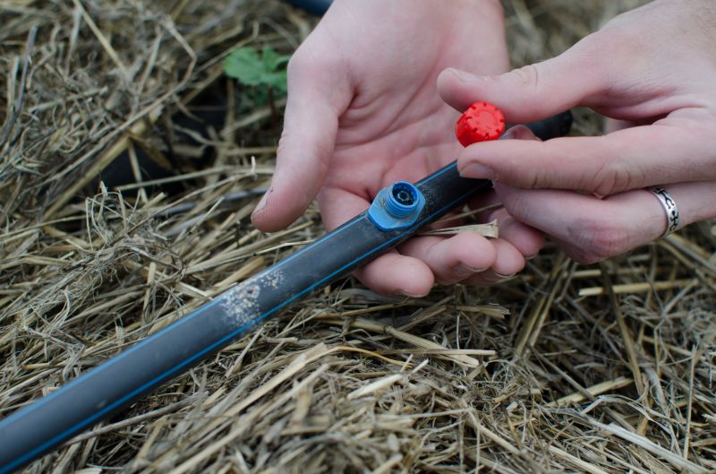 Valve Repair Process